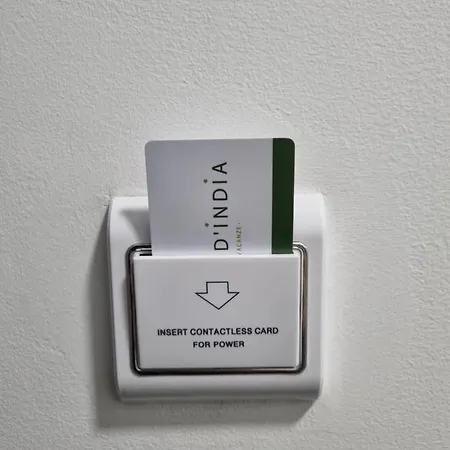 Fico D'india * Спадафора